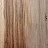 Hickory